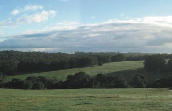 Hilltop Studios Margaret River Kamer foto