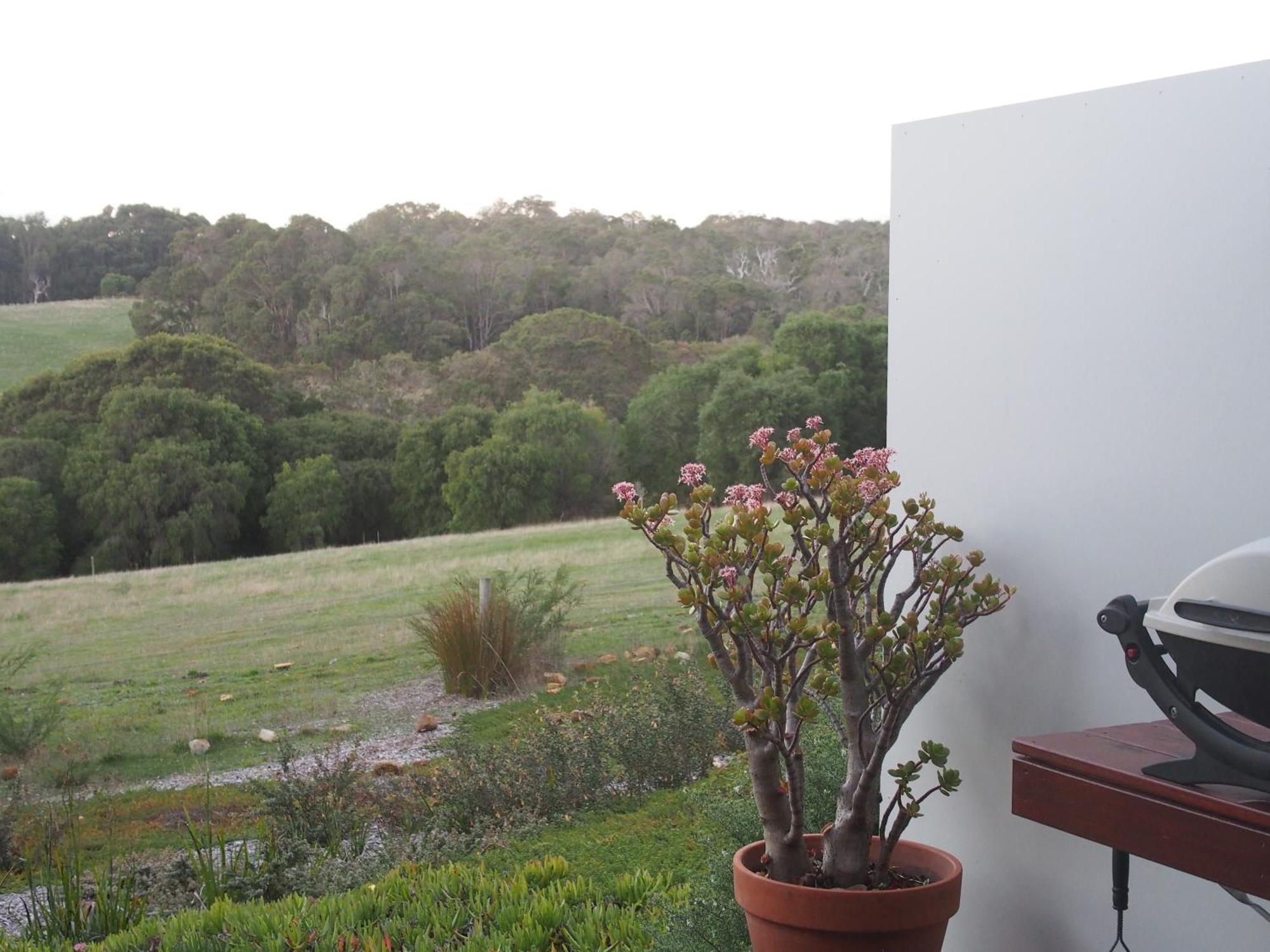 Hilltop Studios Margaret River Buitenkant foto